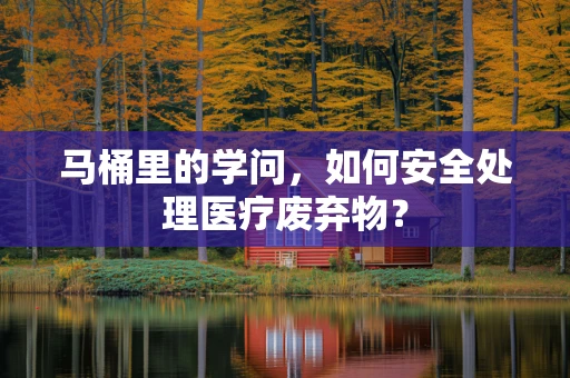 马桶里的学问，如何安全处理医疗废弃物？