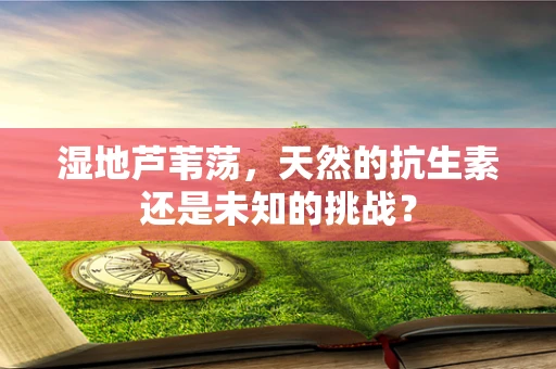 湿地芦苇荡，天然的抗生素还是未知的挑战？