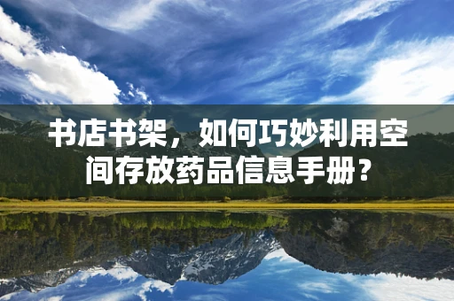 书店书架，如何巧妙利用空间存放药品信息手册？