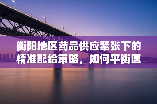 衡阳地区药品供应紧张下的精准配给策略，如何平衡医疗资源与患者需求？