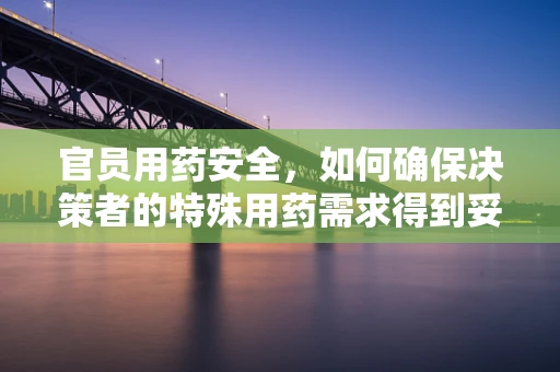 官员用药安全，如何确保决策者的特殊用药需求得到妥善管理？