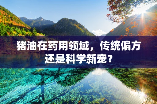 猪油在药用领域，传统偏方还是科学新宠？