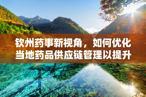 钦州药事新视角，如何优化当地药品供应链管理以提升医疗服务效率？