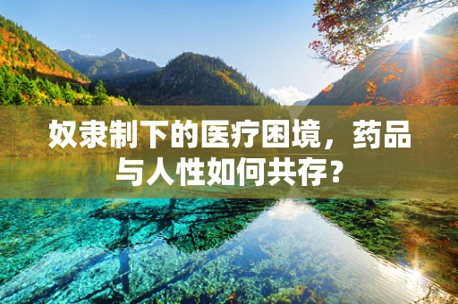 奴隶制下的医疗困境，药品与人性如何共存？