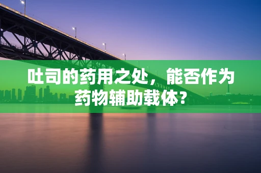 吐司的药用之处，能否作为药物辅助载体？