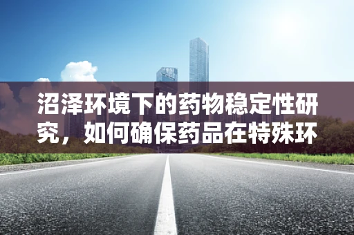 沼泽环境下的药物稳定性研究，如何确保药品在特殊环境下的安全与效力？