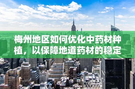 梅州地区如何优化中药材种植，以保障地道药材的稳定供应？