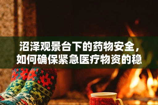 沼泽观景台下的药物安全，如何确保紧急医疗物资的稳定存储？