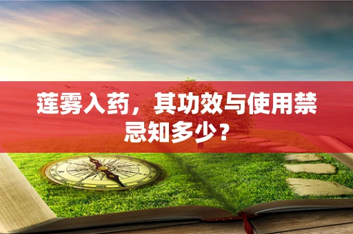 莲雾入药，其功效与使用禁忌知多少？