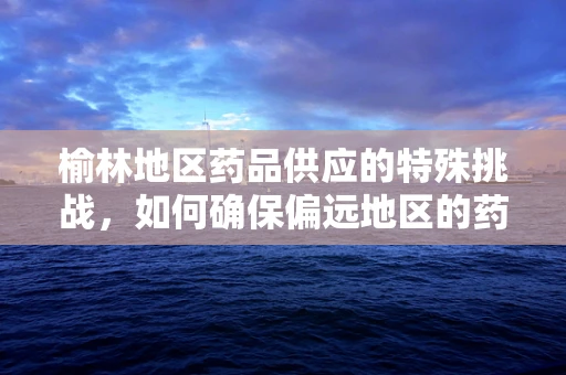 榆林地区药品供应的特殊挑战，如何确保偏远地区的药物可及性？