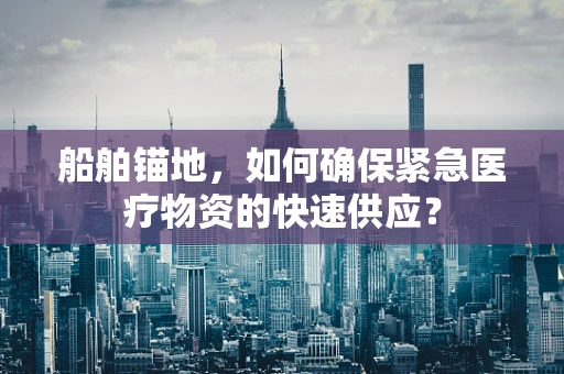 船舶锚地，如何确保紧急医疗物资的快速供应？