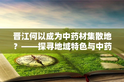 晋江何以成为中药材集散地？——探寻地域特色与中药文化交融的奥秘