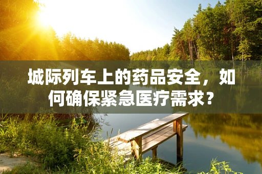 城际列车上的药品安全，如何确保紧急医疗需求？