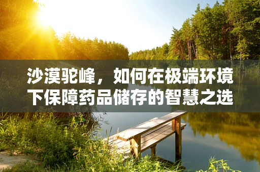 沙漠驼峰，如何在极端环境下保障药品储存的智慧之选？