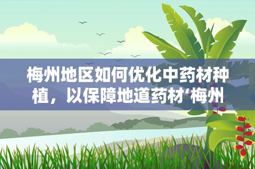 梅州地区如何优化中药材种植，以保障地道药材‘梅州青梅’的稳定供应？