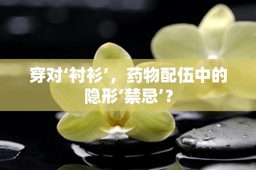 穿对‘衬衫’，药物配伍中的隐形‘禁忌’？