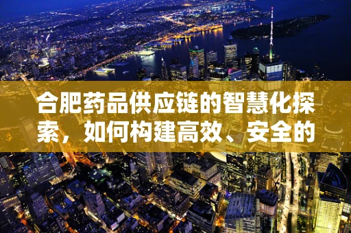 合肥药品供应链的智慧化探索，如何构建高效、安全的城市药品配送体系？