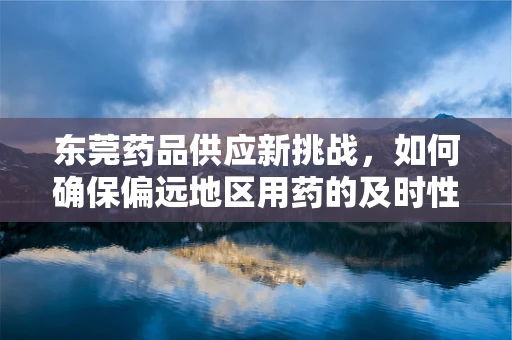 东莞药品供应新挑战，如何确保偏远地区用药的及时性与安全性？