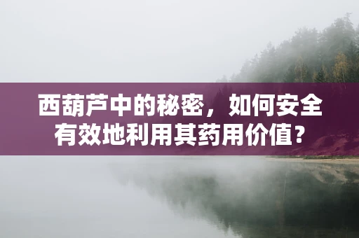 西葫芦中的秘密，如何安全有效地利用其药用价值？