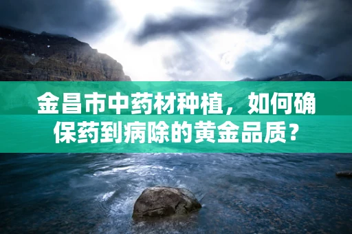 金昌市中药材种植，如何确保药到病除的黄金品质？