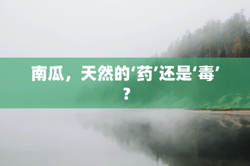 南瓜，天然的‘药’还是‘毒’？