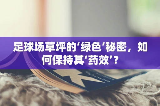 足球场草坪的‘绿色’秘密，如何保持其‘药效’？