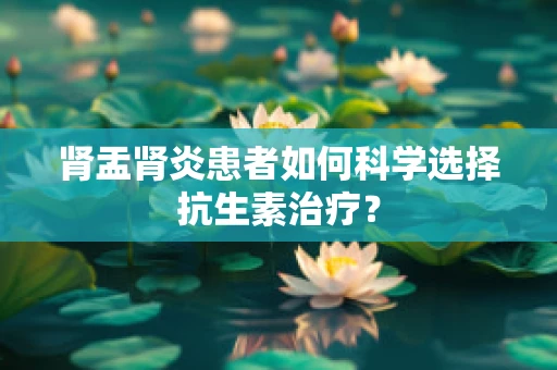 肾盂肾炎患者如何科学选择抗生素治疗？