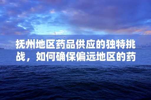 抚州地区药品供应的独特挑战，如何确保偏远地区的药物可及性？