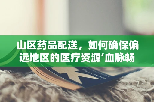 山区药品配送，如何确保偏远地区的医疗资源‘血脉畅通’？