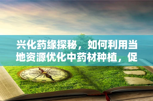 兴化药缘探秘，如何利用当地资源优化中药材种植，促进中医药发展？