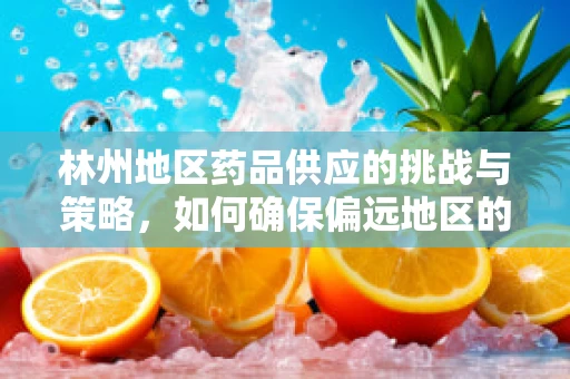 林州地区药品供应的挑战与策略，如何确保偏远地区的医疗资源均衡？