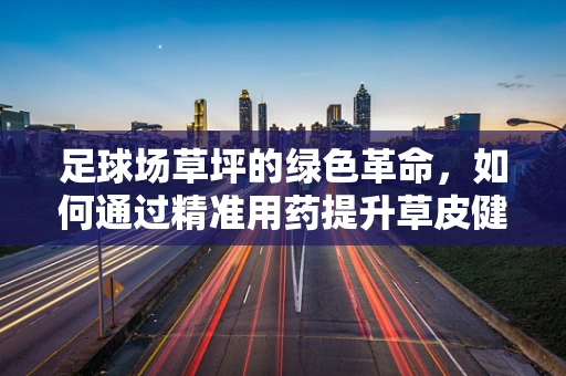 足球场草坪的绿色革命，如何通过精准用药提升草皮健康与美观？