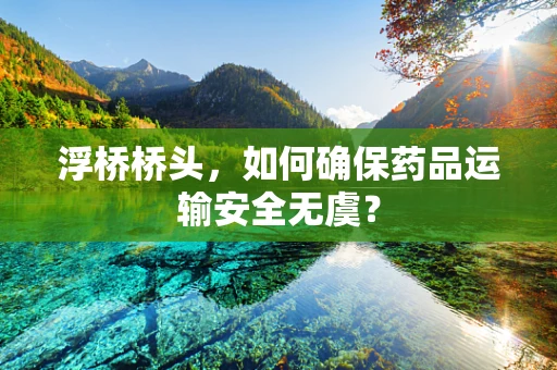 浮桥桥头，如何确保药品运输安全无虞？