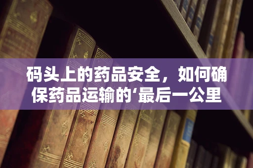 码头上的药品安全，如何确保药品运输的‘最后一公里’安全无虞？