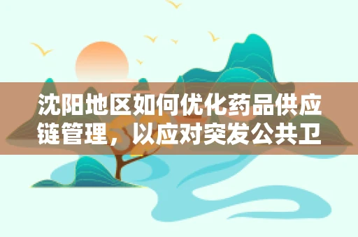 沈阳地区如何优化药品供应链管理，以应对突发公共卫生事件？