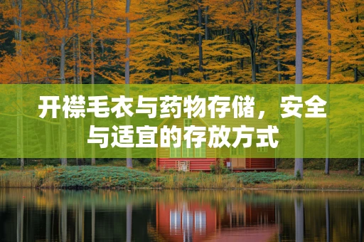 开襟毛衣与药物存储，安全与适宜的存放方式