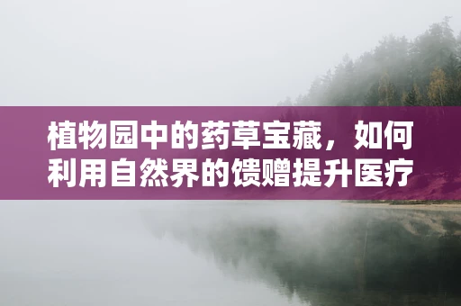 植物园中的药草宝藏，如何利用自然界的馈赠提升医疗实践？