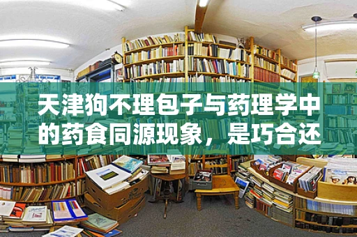 天津狗不理包子与药理学中的药食同源现象，是巧合还是科学？