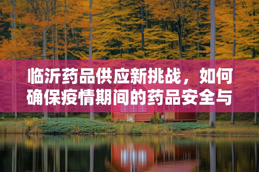 临沂药品供应新挑战，如何确保疫情期间的药品安全与高效配送？