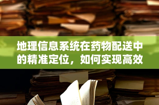 地理信息系统在药物配送中的精准定位，如何实现高效与安全？