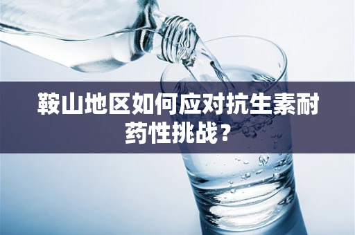 鞍山地区如何应对抗生素耐药性挑战？