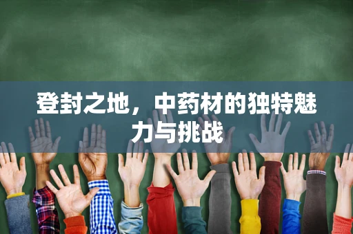 登封之地，中药材的独特魅力与挑战