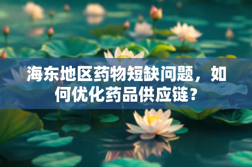 海东地区药物短缺问题，如何优化药品供应链？