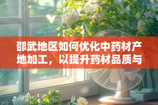 邵武地区如何优化中药材产地加工，以提升药材品质与安全性？