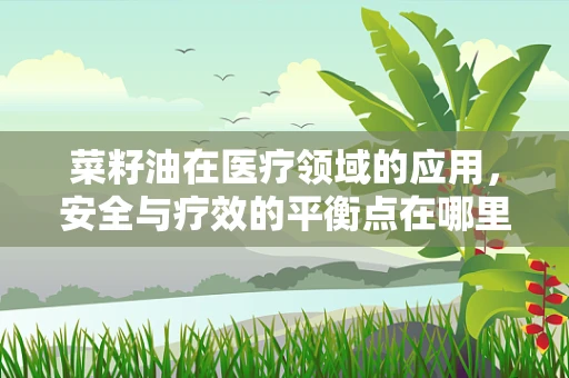 菜籽油在医疗领域的应用，安全与疗效的平衡点在哪里？